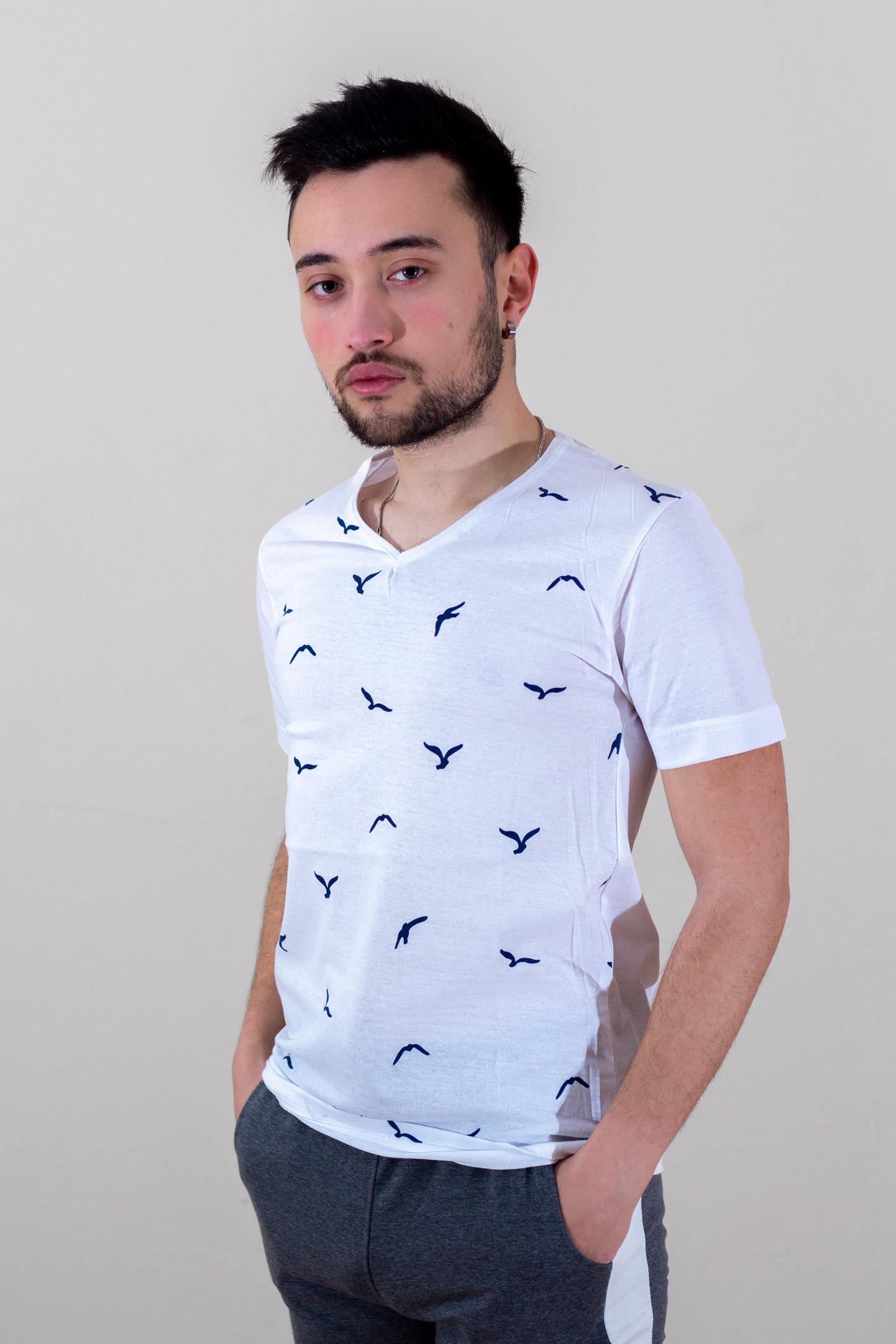 Beyaz Martı Baskılı Kısa Kollu V Yaka Erkek Tişört 22ETSHVMRT