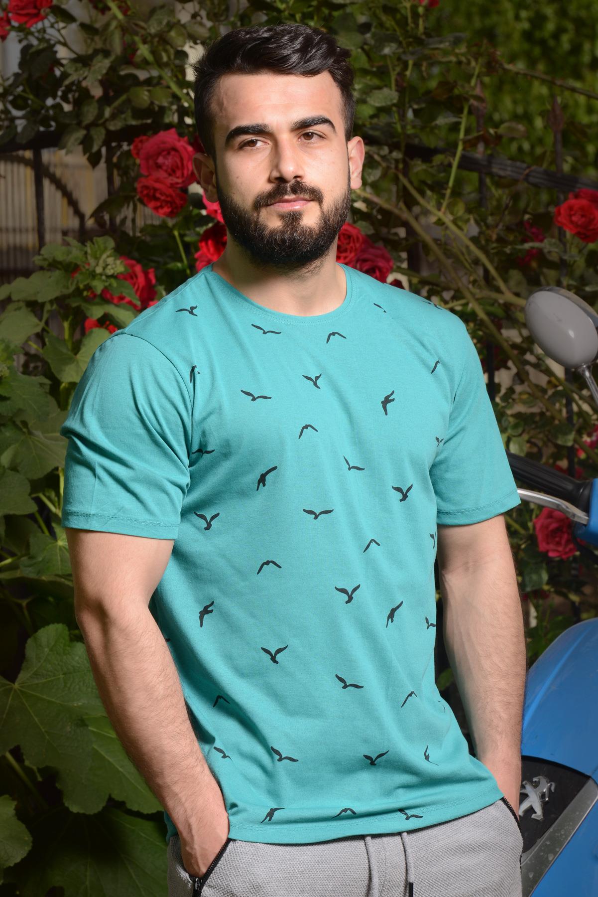 Erkek Turkuaz Fit Martı Model Kısa Kollu Tişört 21ETSHMART